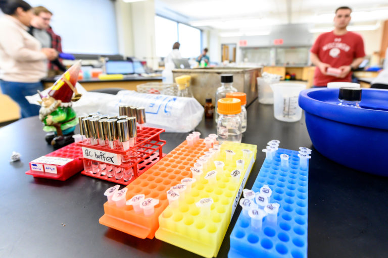 Close up of sample tray in classroom